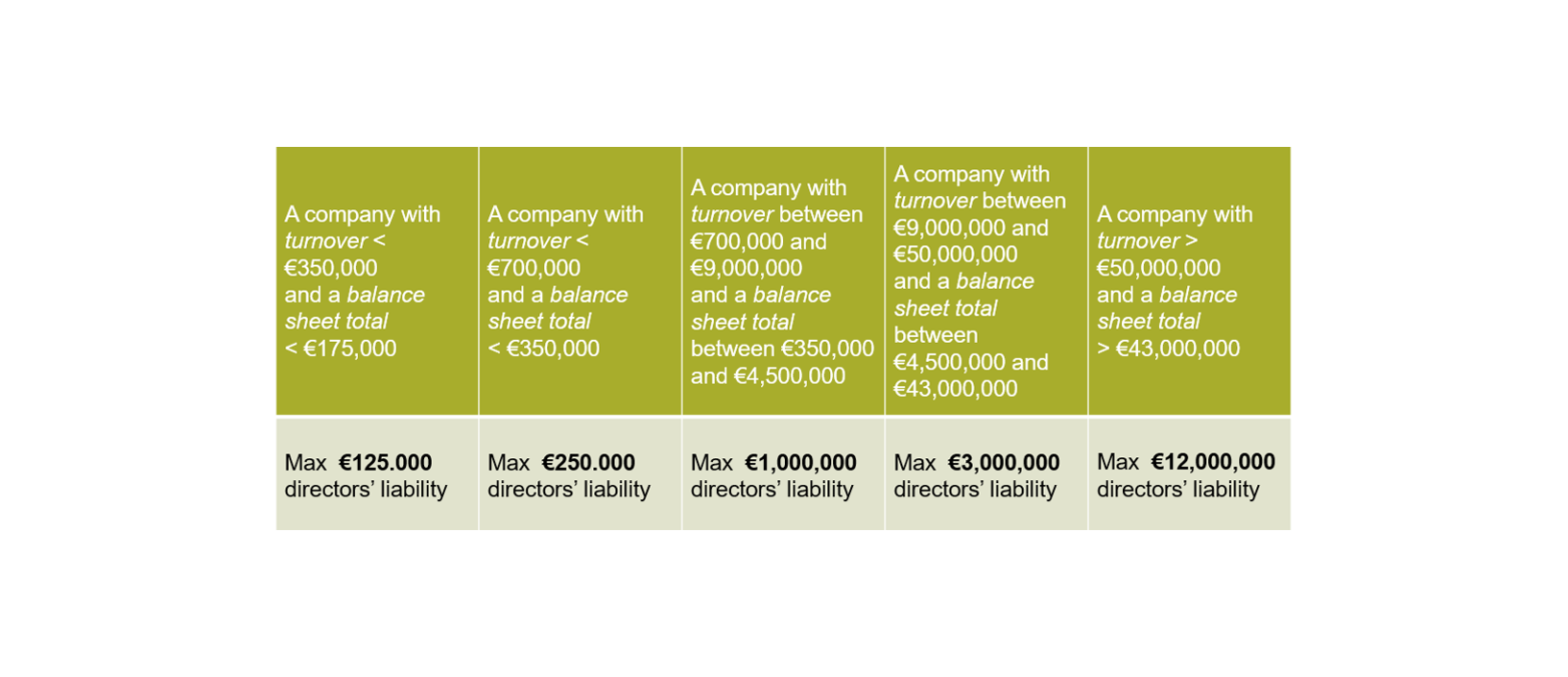 Bestuurdersaansprakelijkheid TABEL ENG